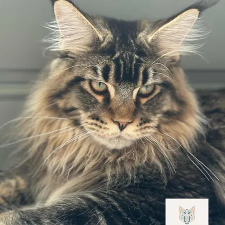 Oda ve Kahvaltı Partner