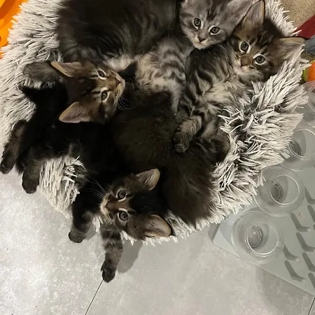 Partner Oda ve Kahvaltı