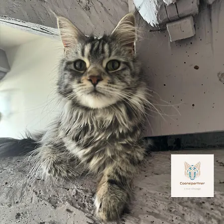 Partner Oda ve Kahvaltı